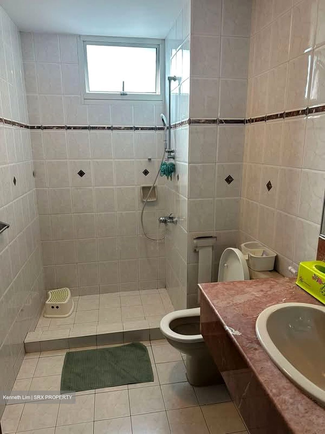 Parkshore (D15), Condominium #573045501